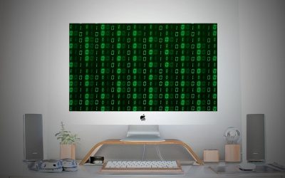 What Happened When An Organisation Refused To Pay The Ransom